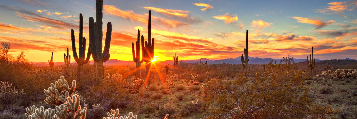 Photo of the Arizona desert at sunset