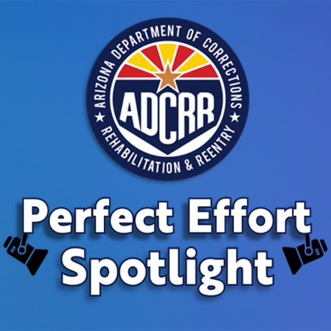 Perfect Effort Spotlight text on blue background with ADCRR logo and spotlight-shaped icons.