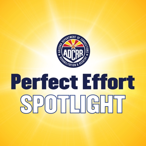 Perfect Effort Spotlight thumbnail